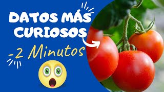 Datos que NO SABÍAS del TOMATE. Mira por qué se consideraban venenosos.