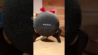 Le pregunté a Alexa si me ama y Google Home se mete