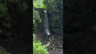 Waterfall in bold venture park darwen #waterfall #iphone14 #darwen