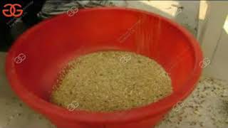 Buckwheat/Hazelnut/Pinenut Hulling and Separating Machine Estonia