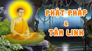 PHONG THỦY 24H | PHẬT PHÁP VÀ TÂM LINH