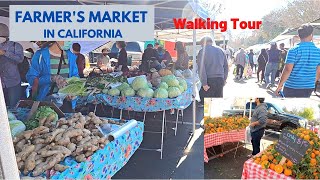 Farmer's Market in USA - Walking Tour | What's inside Farmer's Market | Life in California | Organic