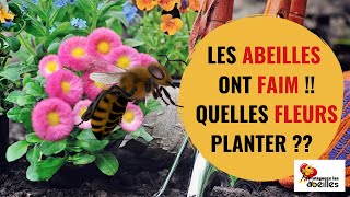 Des Fleurs pour les Abeilles