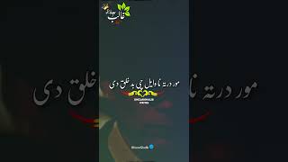 pushto best poetry new poetry subscribe My channel songs Love