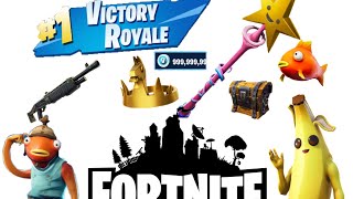 Playing fortnite