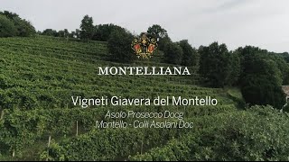 Vigneti Giavera del Montello