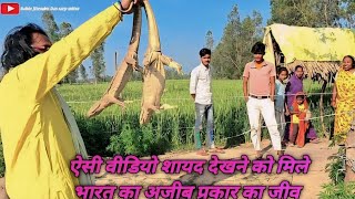 ऐसी वीडियो शायद देखने को मिले!! विश्वास नहीं तो देख लीजिए!!animalsrescuevideo#animalsvideo2024#snake