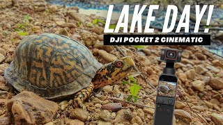 Lake Day - DJI Pocket 2 Cinematic 4K