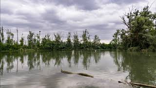 La petite Camargue Alsacienne