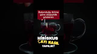 Hibiskus çayı nasıl yapılır? #shortsvideo