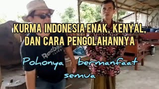 KURMA INDONESIA KENYAL, PUTIH, ENAK,  DAN PROSES PEMBUATANNYA