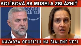 KOLÍKOVÁ SA MUSELA ZBLÁZNIŤ. NAVÁDZA OPOZÍCIU NA ŠIALENÉ VECI.