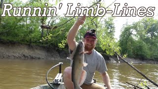 Limb-Lining for Catfish on a Small River