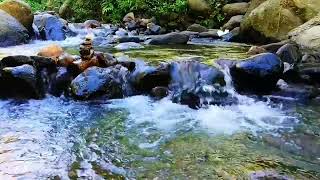 Relaxing River Sounds Mountain Stream Waterfall Gentle Stream for sleep/ study/ insomnia/ meditation