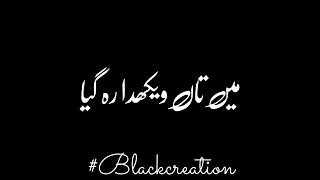 _New_Punjabi__Urdu_Lyrics_Black_Background_Status