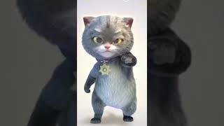 cute cat videos tiktok#shorts #like #fyp