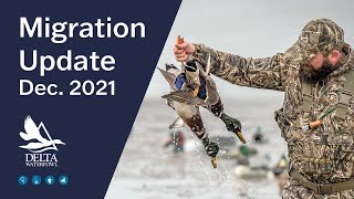 Migration Update | December 2021