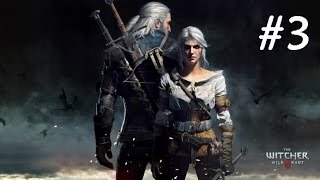 The Witcher 3 Wild Hunt | Blood and Wine | Hearts of Stone | Lets Play! Ep 3