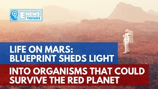 Life on Mars: Blueprint Sheds Light into Organisms That Could Survive the Red Planet