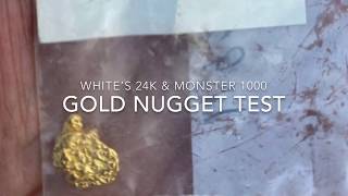 White's Goldmaster 24K VS Minelab Monster 1000