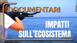 PLASTIC BUSTERS MPAs- Documentario