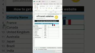 Advance Excel "IMAGE" function #exceltips #exceltricks