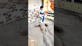 China's Unique Screen Carpet 😨 #shorts #facts #viral #youtubeshorts