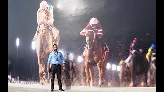 Dubai World Cup 2018 [Gold Cup|UAE Derby |DWC Ceremony|Sheema Classic|DWC18|Closing Ceremony]