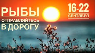 Рыбы ♓️ 16-22 сентября 2024 года 🗝🍀❤️✨☀️Таро Ленорман прогноз предсказания