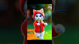 Cat Dance 🥰 Ai Cat Dance #shorts #aicat #catlover #catdance