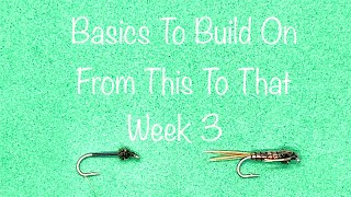 Basics To Build On (Week 3)