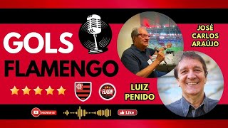 GOLS DO FLAMENGO NARRADOS POR JOSÉ CARLOS ARAÚJO E LUIZ PENIDO! (ÁUDIO)