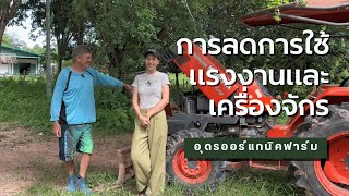 การลดการใช้แรงงานและเครื่องจักรทางการเกษตร | Udon Organic Farm