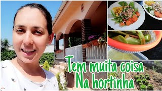 Vlog nossa horta, almoço ROTINA DA MANHÃ