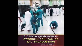 В заповедной мечети отменили социальное дистанцирование