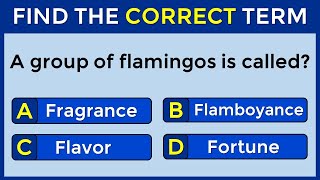 Vocabulary Challenge: Find The Correct Term! #challenge 26