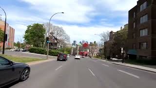 No Copyright Background Montreal Canada Video   Free Stock Footage