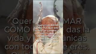 Frases de Santos - San Juan Pablo II - #amor #catholic #frases #santo  #vidasdesantos #fe