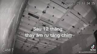 12 tháng thay âm ru