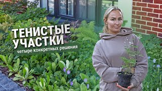 Тенистые участки. Четыре конкретных примера.