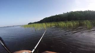 Lake Tarpon Big Bass - Broken Rod - 3rd place finish with SPBM