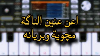 عزف - اعن عنين الناگة - org 2024