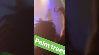 Flatbush Zombies- Palm Trees live @ Marseille