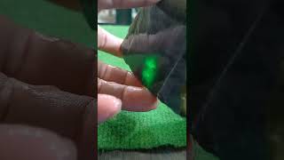 Bongkahan Batu Giok Super / Natural Dark Green Jadeite Jade Type A  #shortvideo #batupermata