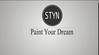 Styn Logo Animation