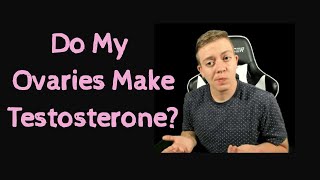 Do My Ovaries Make Testosterone?