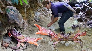 Primitive catch and cook, Use life in jungle find Crab, Survival skills, Episode 19