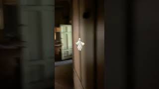 Real Ghost caught walking past door #paranormal #ghosts #abandoned #spirituality #art #ghosthunters