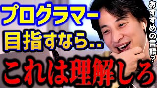 ※プログラマーを目指す人..プログラミングは誰に聞く？この言語はおすすめできません。エンジニア転職まとめ/メンター/キャリア/kirinuki/論破【ひろゆき/切り抜き】