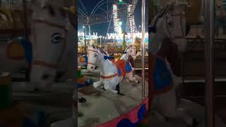 horse jhula in sirsa mela  #trending #funny #horse #camel #mrsndpvlogs